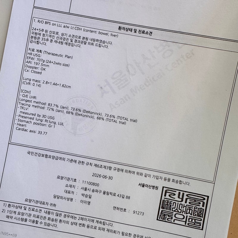 [38주, 출산 준비] 선천성 횡격막탈장 태아보험 서류 정리