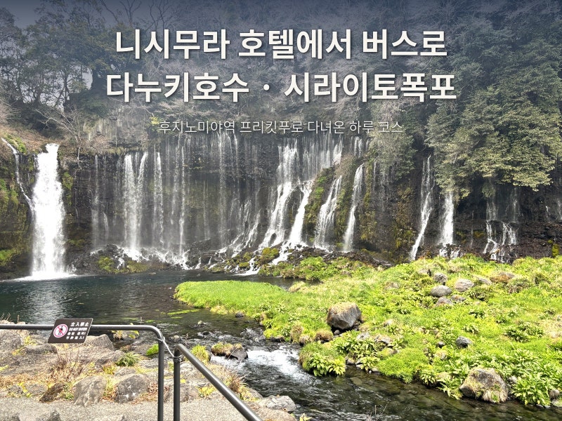 [시즈오카 여행] 다누키호수·시라이토폭포 버스로 가는 법 총정리 | 프리킷푸 2일권, 시간표,....