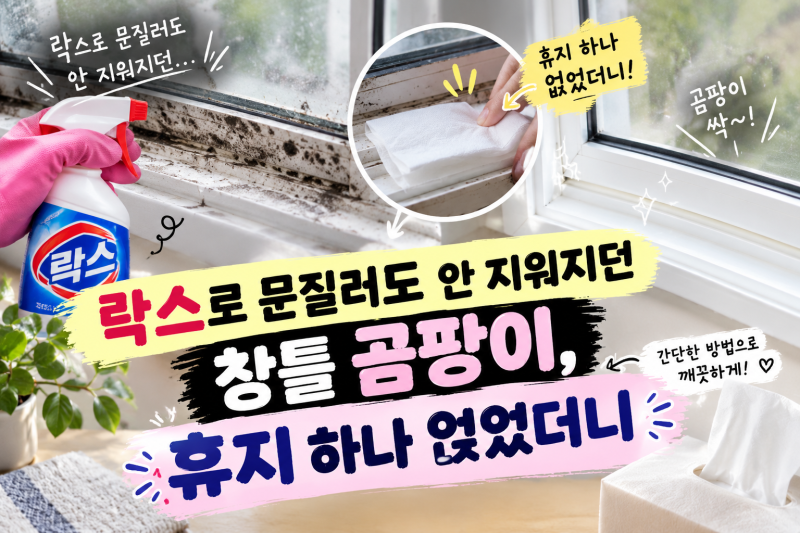 락스로 문질러도 안 지워지던 창틀 곰팡이, 휴지 하나 얹었더니