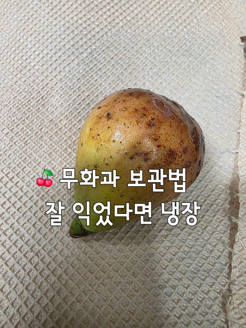 엄마표 무화과 보관방법 냉장보관 기간