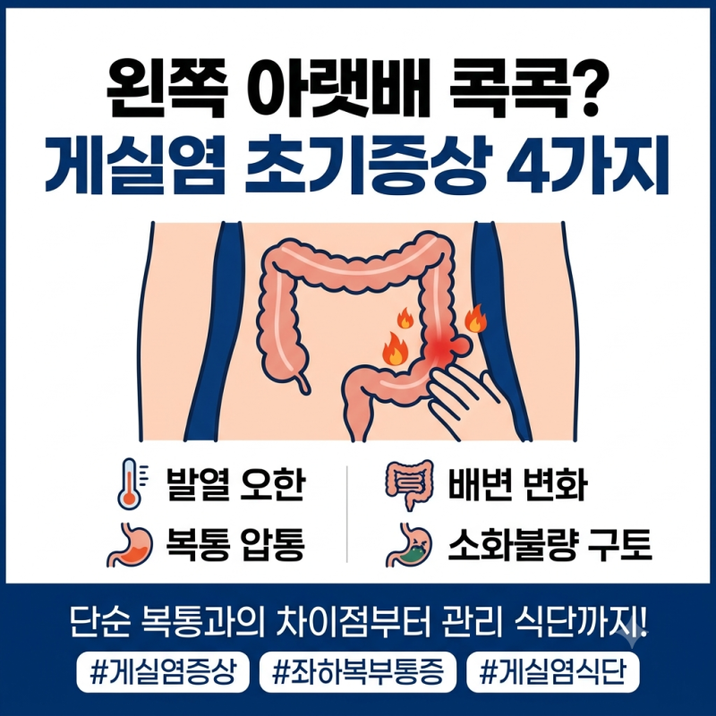 게실염 증상 위치와 원인, 음식 관리법까지! (우하복부·좌하복부 차이)