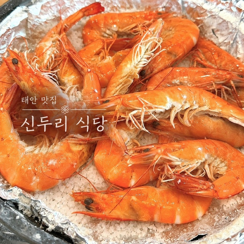 대하구이 먹으러 당일치기 여행 다녀온 후기 | 태안 신두리해수욕장 맛집 '신두....