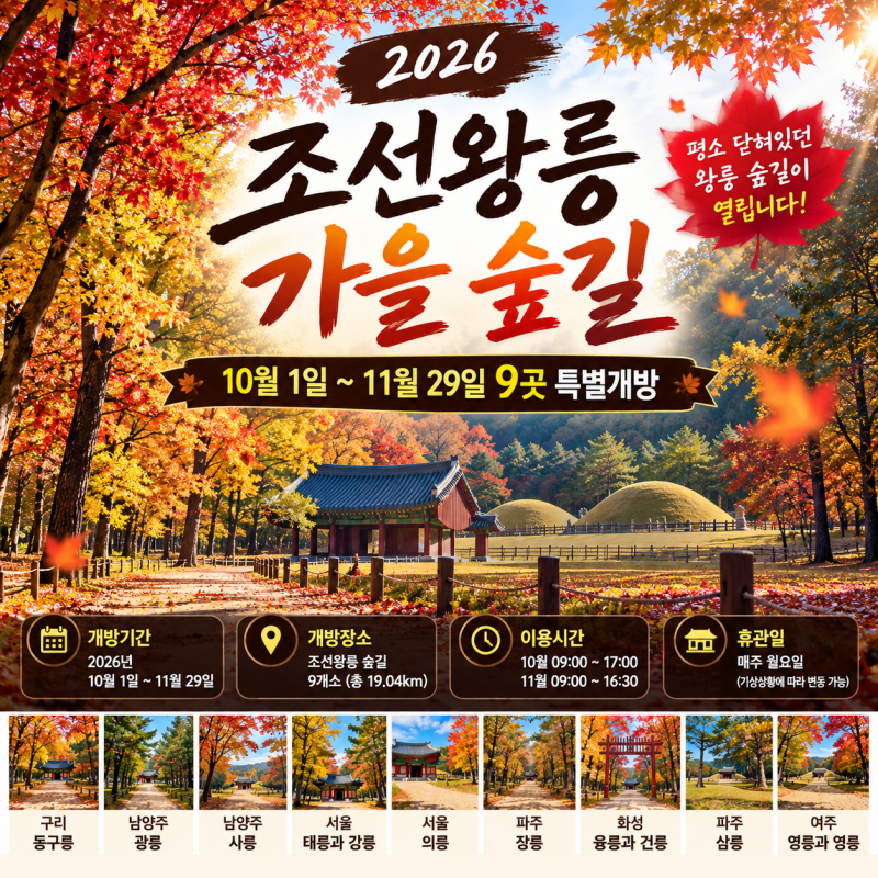 2026 조선왕릉 가을 숲길 특별개방｜단풍 명소 9곳·개방기간·무료입장 총정리