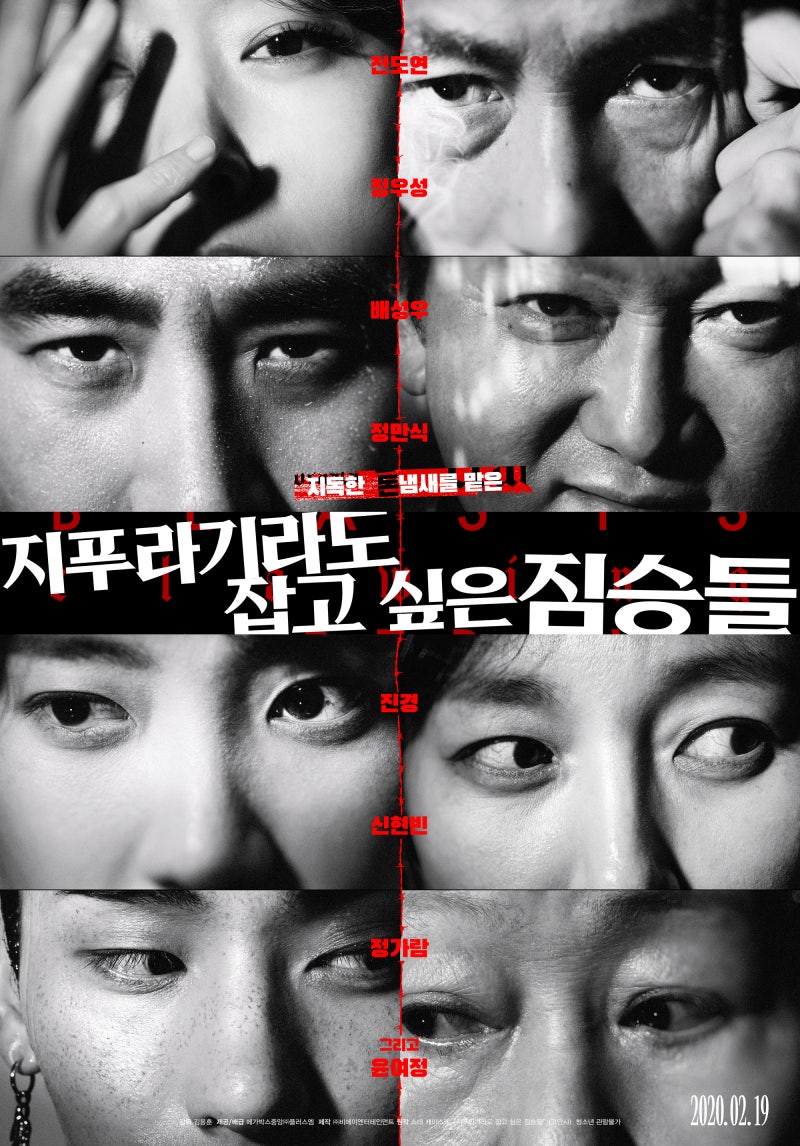 한국영화 지푸라기라도 잡고 싶은 짐승들 정보 돈가방이 벗겨낸 인간이라는 이름