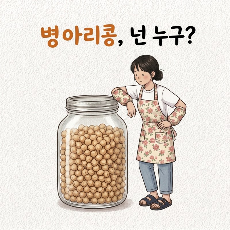 안 불리고 삶았다 한 시간째 딱딱함 병아리콩 효능 삶는법 먹는법 불리기 칼로리