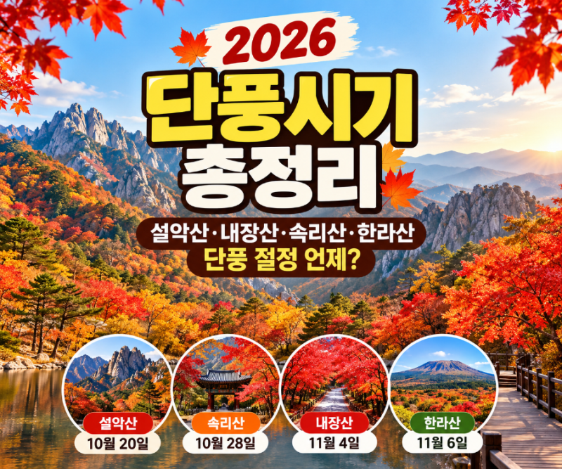 2026 단풍시기 총정리｜설악산·내장산·속리산·한라산 단풍 절정 언제?
