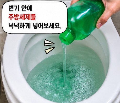 "변기에 주방세제를 넣는다고?" 뚫어뻥 없을 때 써먹는 의외의 "변기 뚫는 법"