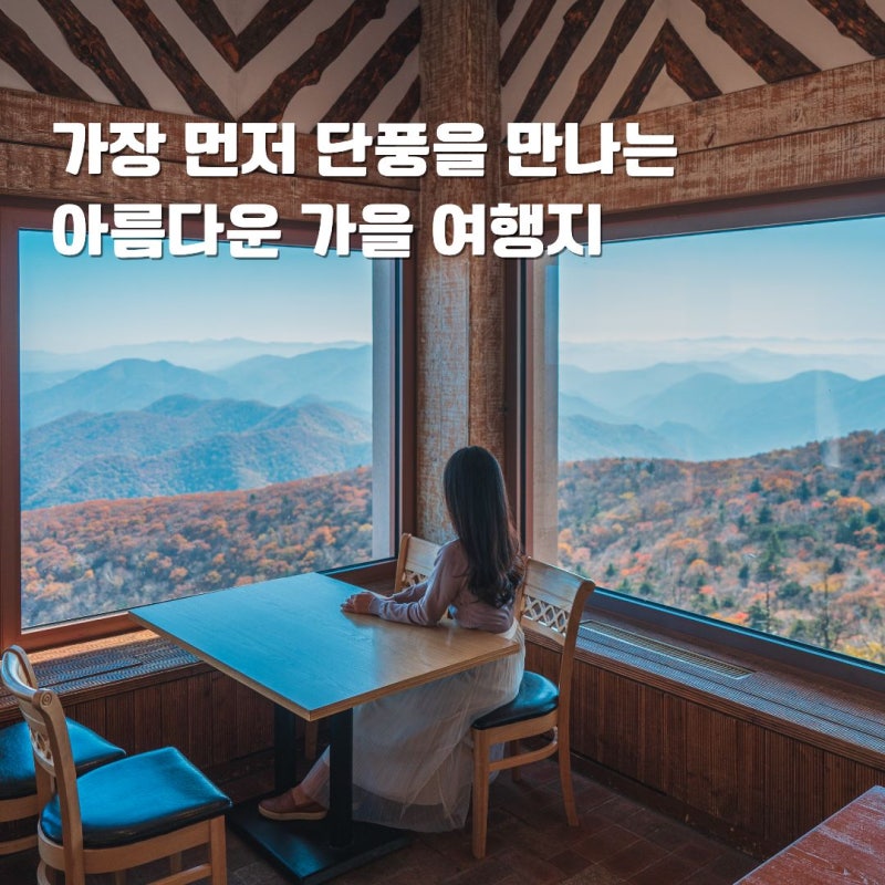 강원도 평창 발왕산 케이블카 단풍 명소 절정시기 10월 여행지