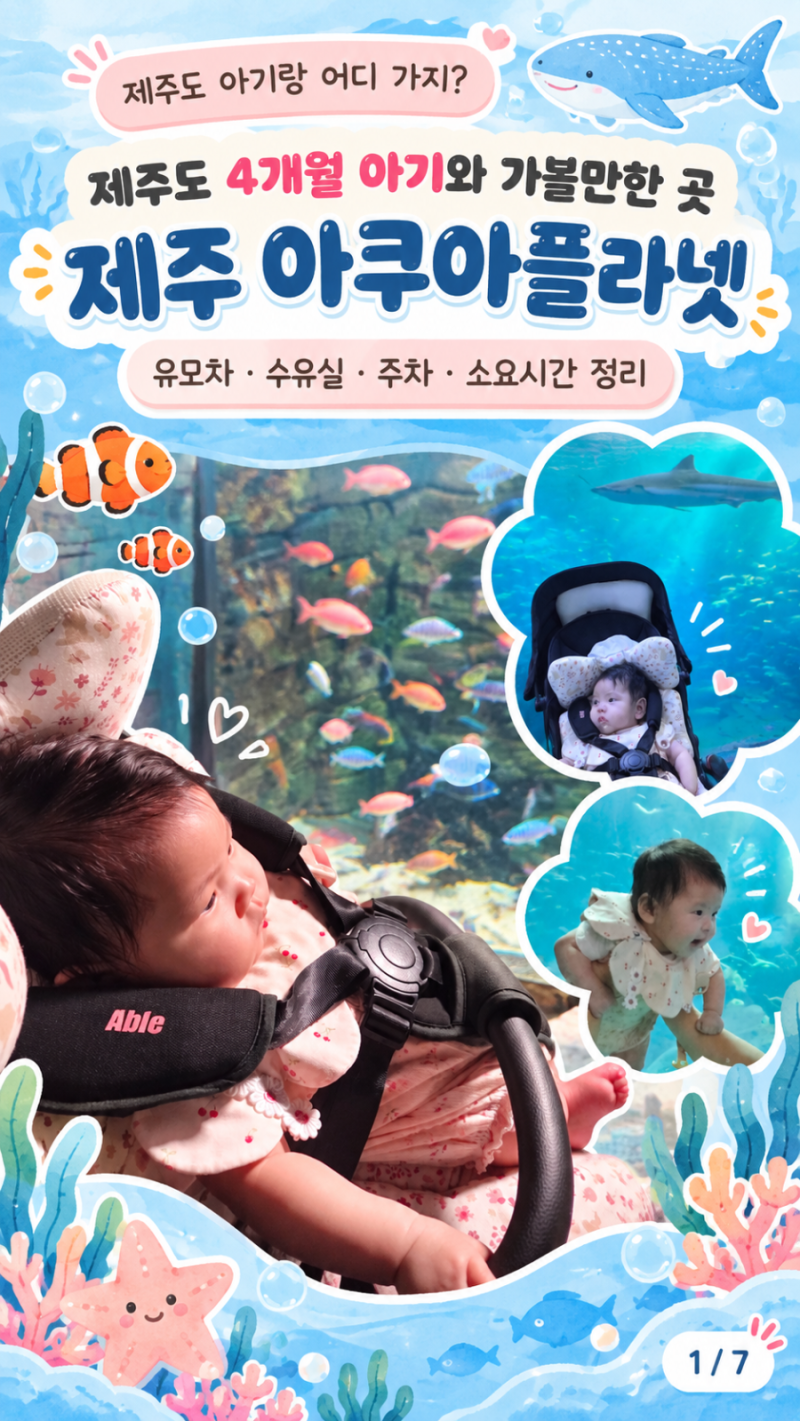 제주도 4개월 아기와 가볼만한 곳, 제주 아쿠아플라넷 | 유모차·수유실·주차 총정리