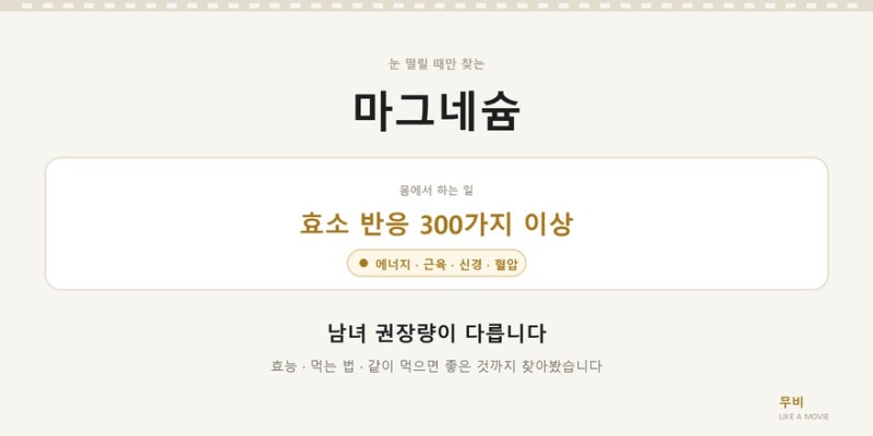 마그네슘 효능과 하루 권장량 총정리 - 남녀 차이, 먹는 법, 같이 먹으면 좋은 것
