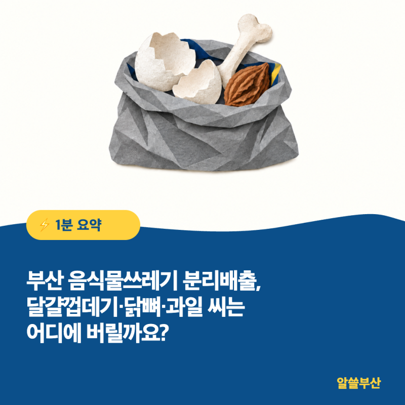 부산 음식물쓰레기 분리배출, 달걀껍데기·닭뼈·과일 씨는 어디에 버릴까요?