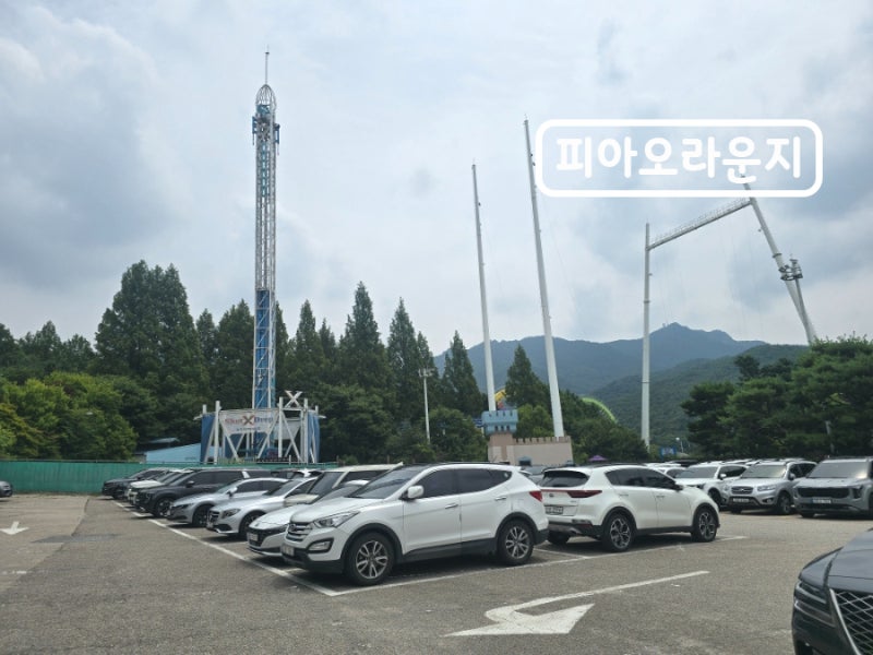 서울랜드 주말 주차 만차 몇 시? 동문 후문 쌈이맛 주차장 비교 무료 팁