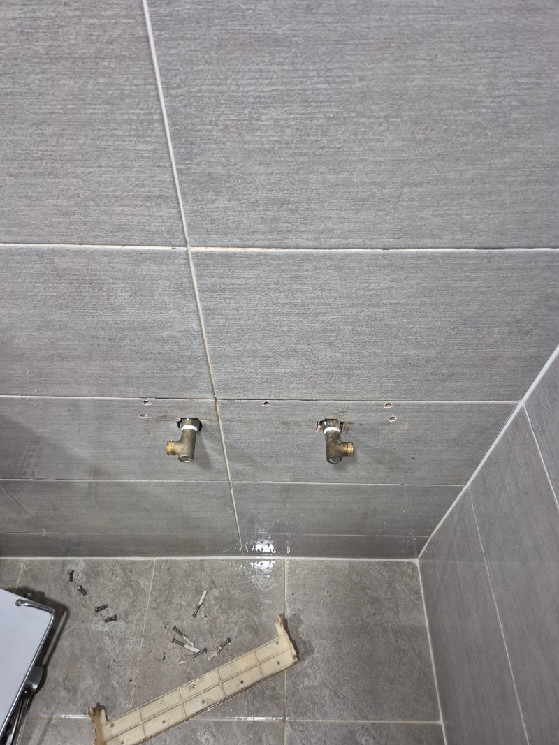 [부산 명지 욕실 수리] 명지오션시티 아파트 해바라기 샤워기 물샘 누수·흔들림 고장 완벽 ....