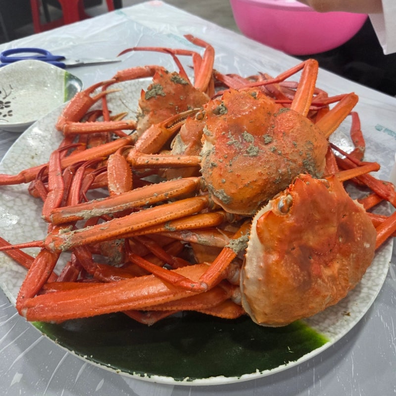 강원도 속초 홍게 무한리필 맛집 '승진호 홍게 무한리필'