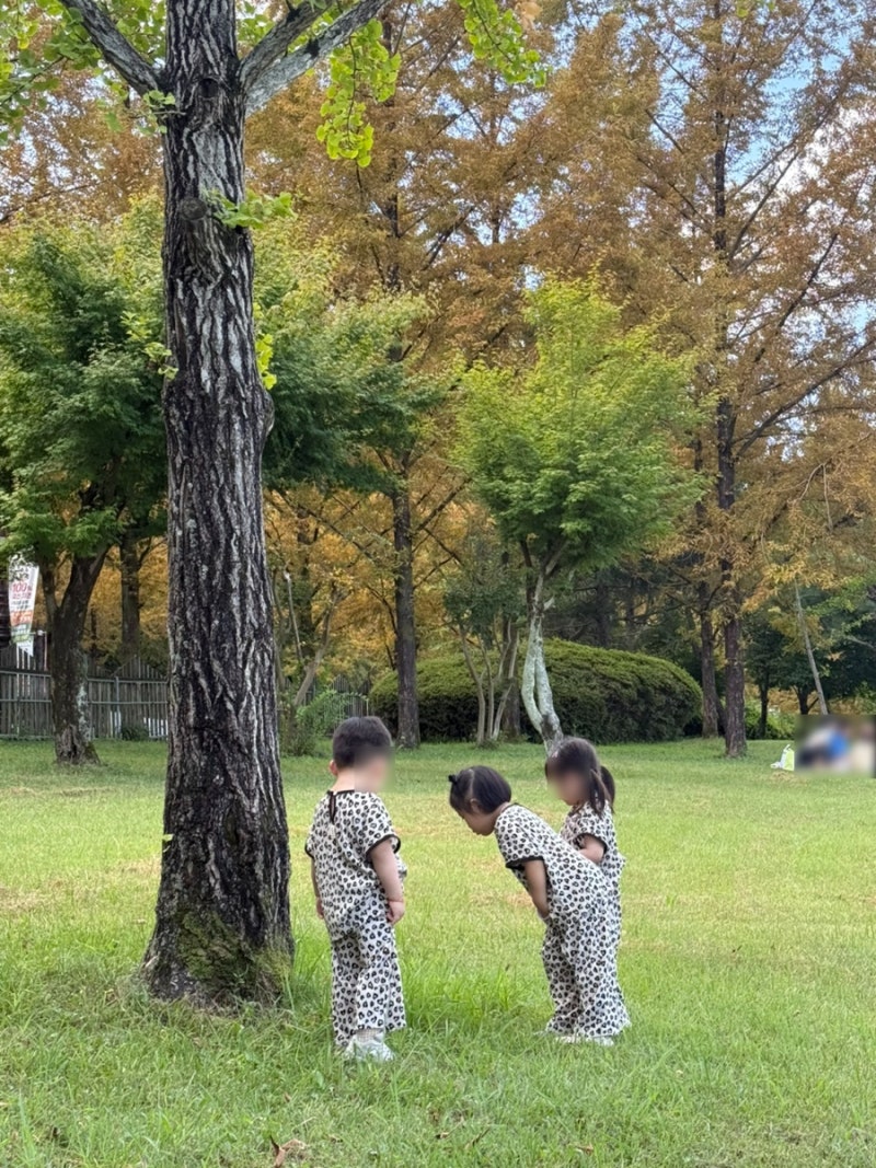 광주 피크닉 장소 패밀리랜드 우치공원 나들이 돗자리, 배달 가능