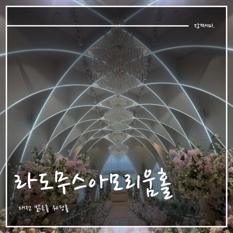W1. 대전 라도무스 웨딩홀 아모리움홀 (계약 O, 27년 상반기)