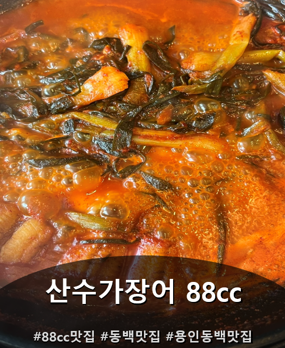 용인 동백 맛집 산수가장어 88cc, 파김치장어전골 제대로 먹고 온 후기