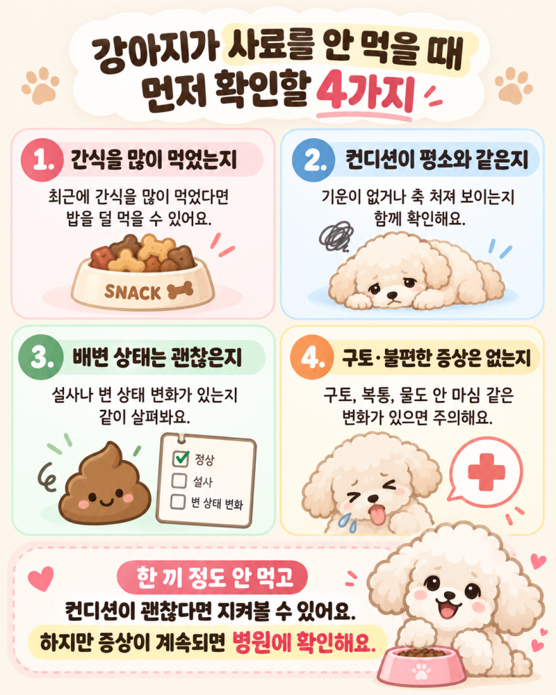강아지가 밥을 안 먹을 때, 먼저 확인해야 할 것과 대처 방법