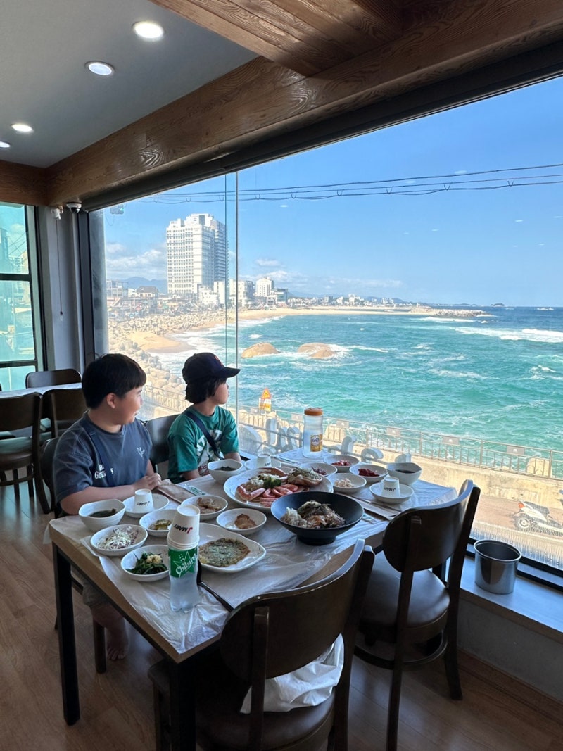 속초대게맛집 추천 유진게찜 동명항 손질대게 오션뷰 찐맛집