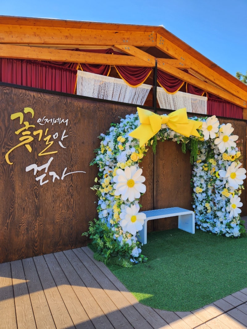 [인제 여행]10월 연휴 강원도 가볼만한곳! 2026 인제 가을꽃축제 '인제에서 꽃길만 걷자' 완벽 ....
