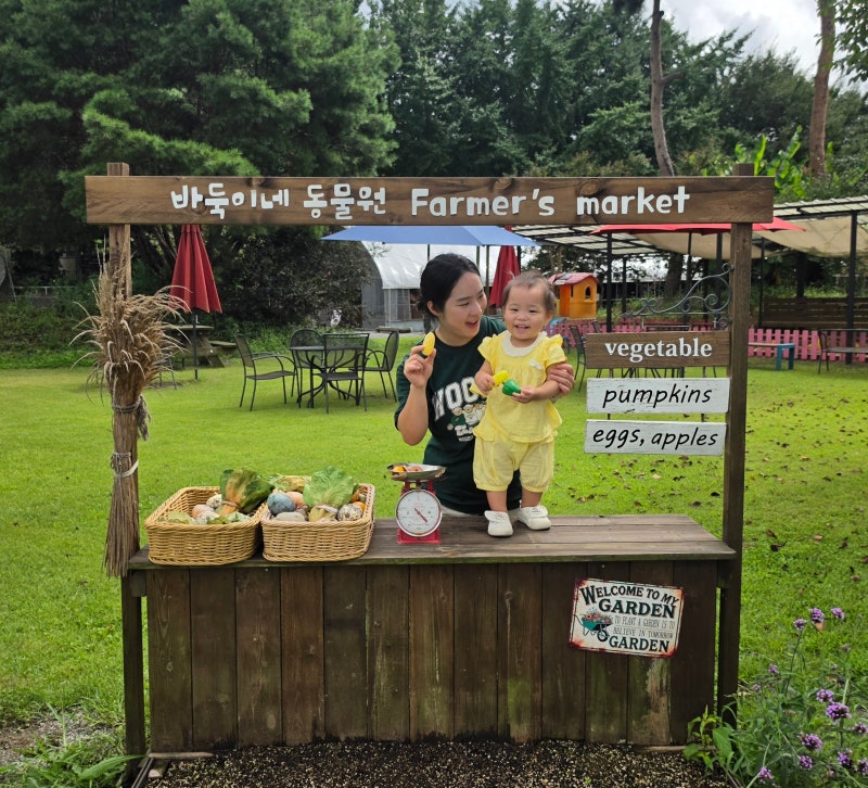 보령 아이와 가볼만한곳 추천! 바둑이네 동물원, 먹이주기부터 물놀이.모래놀이까지