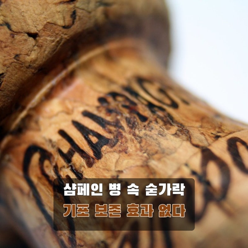 샴페인 병에 숟가락 꽂기, 남은 기포 보존에 효과 있을까?