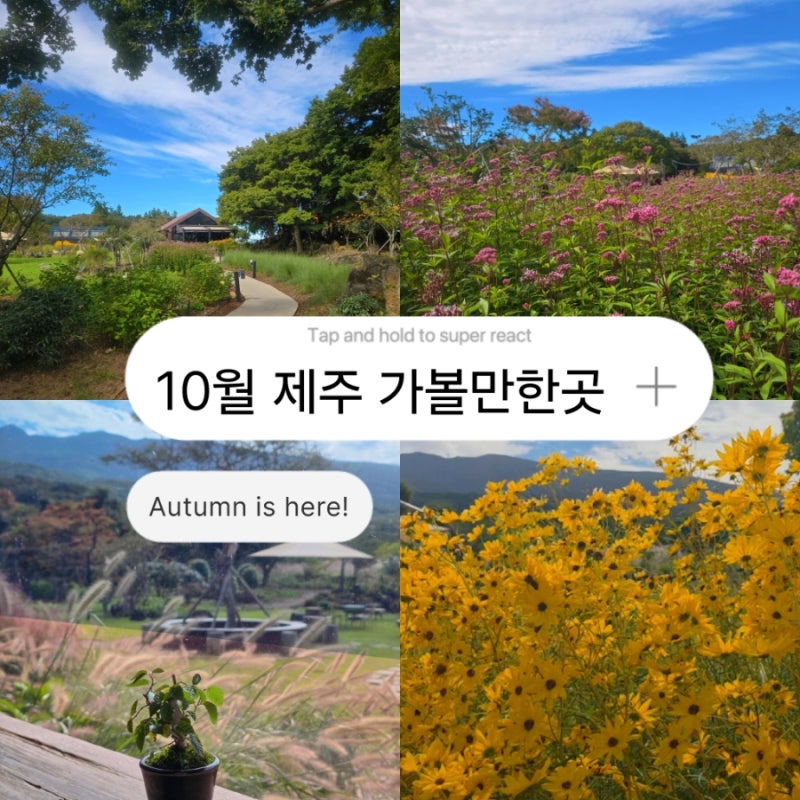 10月の済州島でおすすめの場所 秋の旅行 済州漢拏山カフェ スプレムッタ