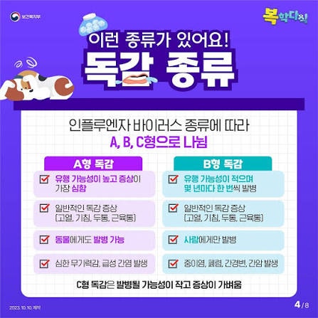 "감기인 줄 알았는데 갑자기 39도?" 독감 증상 순서와 [항바이러스제 골든타임]