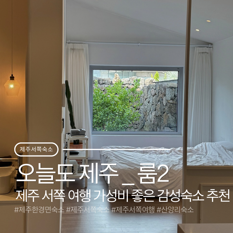 제주 서쪽 숙소 추천 가성비 좋은 감성 숙소 | 오늘도 제주 룸2에서 보낸 1박2일 솔직후기
