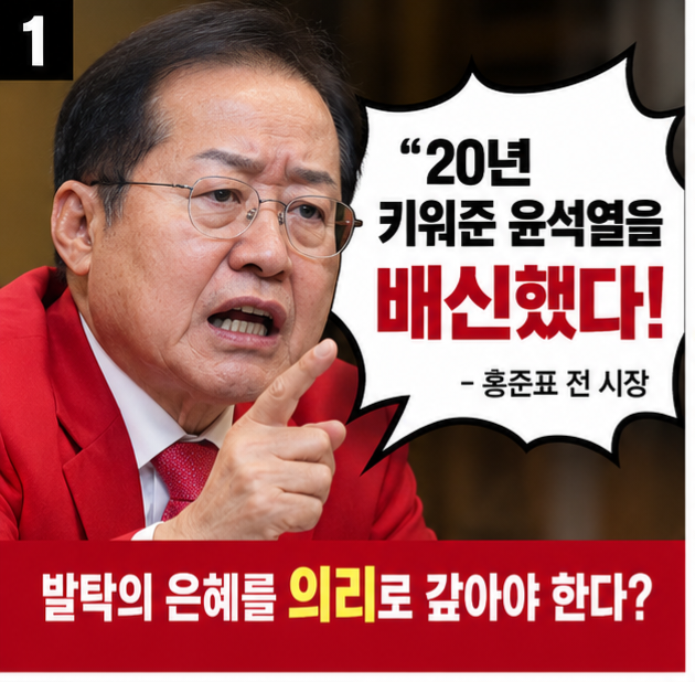 홍준표의 ‘20년 키워준 사람을 배신’…윤석열을 배신한 게 문제인가, 헌법을 배신하는 게 ....
