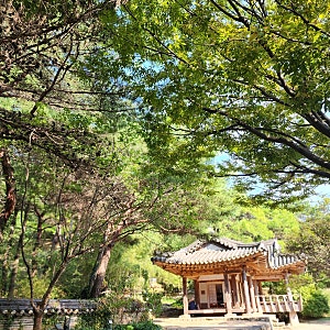 태안 가성비 여행코스｜안면도 수목원, 자연휴양림에서 힐링하고 파파스테이크에서 식사