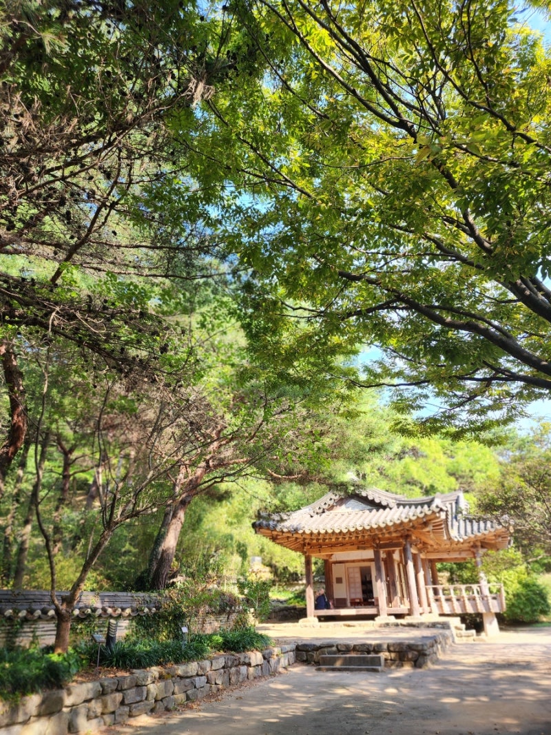 태안 가성비 여행코스｜안면도 수목원, 자연휴양림에서 힐링하고 파파스테이크에서 식사