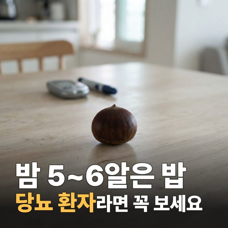 밤 효능 당뇨 환자에게 왜 좋을까