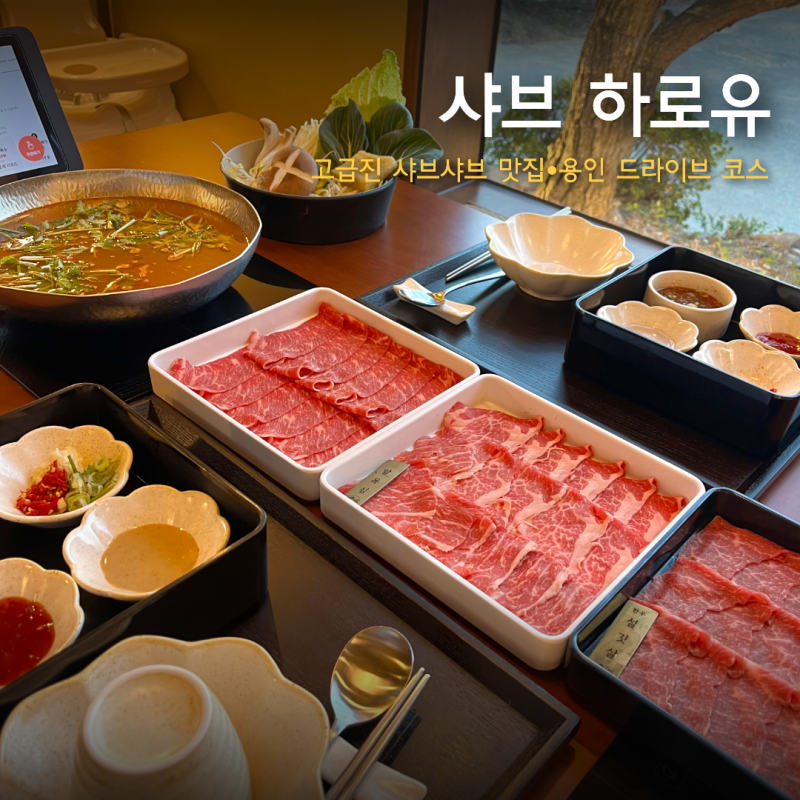 [용인 맛집]용인 드라이브 데이트 맛집 추천, 샤브 하로유 예약방법 | 처인구 기념일•가족외....