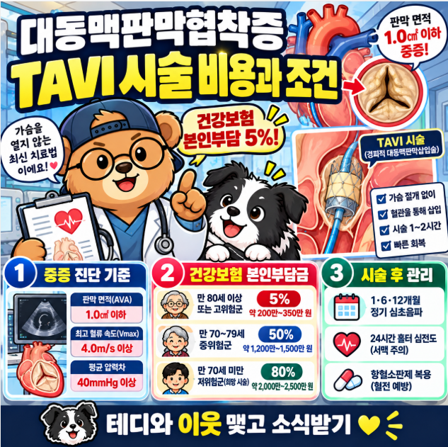 대동맥판막협착증 TAVI 시술 비용과 조건: 판막 면적 1.0㎠ 이하 건강보험 본인부담 5% 총정리