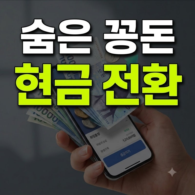 신용카드 포인트 자동 현금 전환 신청하고 숨은 공짜 돈 찾은 팁