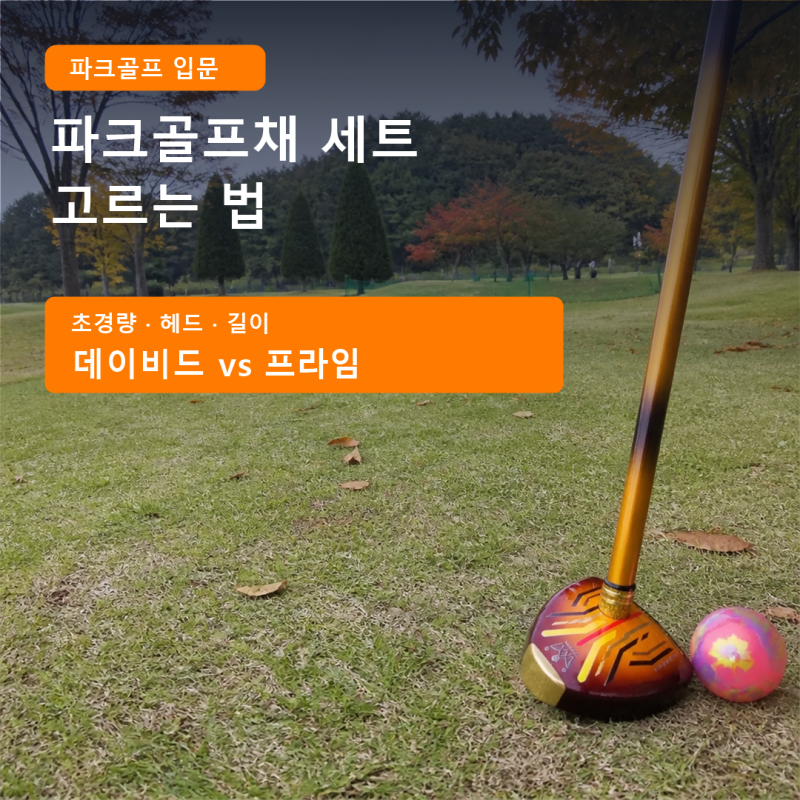 파크골프채 세트 추천, 입문자가 고르는 법 초경량·가격·헤드·길이 소재 총정리(할인 링크....