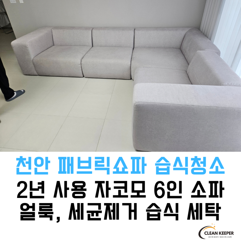[천안 아산 소파 청소] 자코모 패브릭 소파 속 산화된 단백질의 위험성! 습식케어로 얼룩과 ....