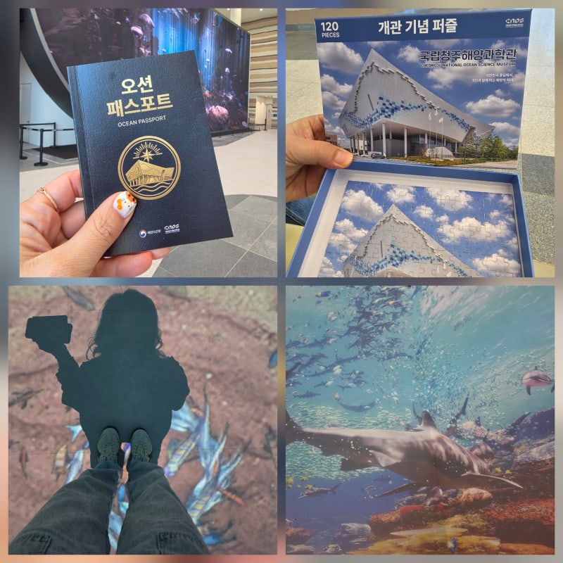 New Recommendation for Kids in Cheongju: 98.3 Billion Won National Cheongju Ocean Science Museum Stamp Tour, Admission, Parking