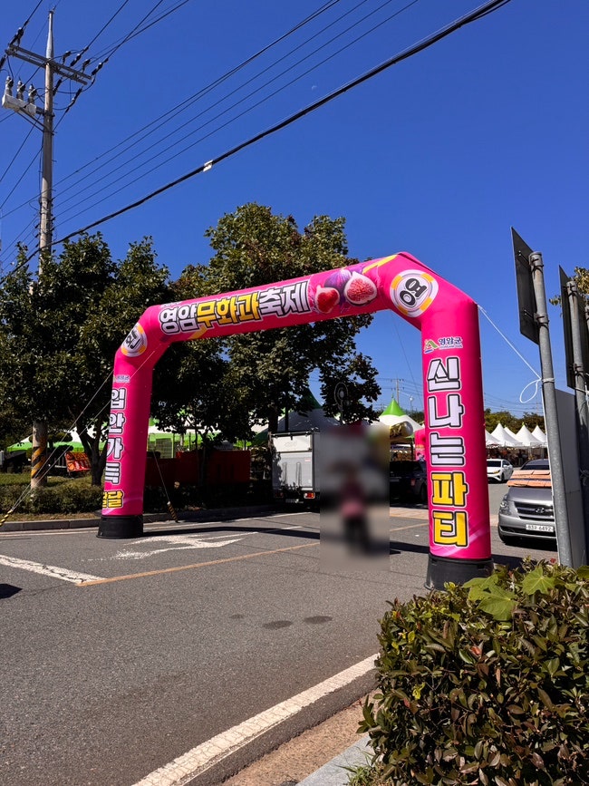 [목포/여행] 2026년 영암 무화과 축제 (무화과 맛집 홍무화과 청무화과 태군노래자랑)