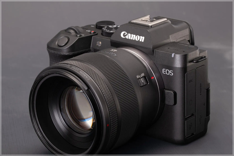 "입문기에도 드디어 손떨방이"... 캐논 EOS R8 Mark II 풀프레임 카메라 반격