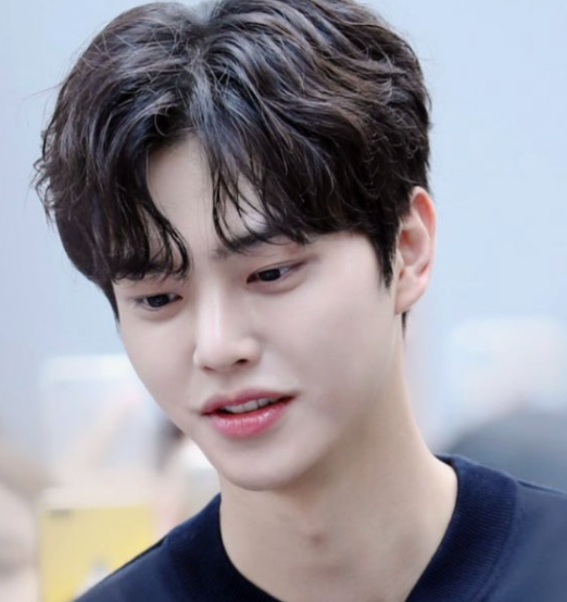 Actor Song Kang: Age, Profile, Representative Dramas, and Recent Updates Since Discharge