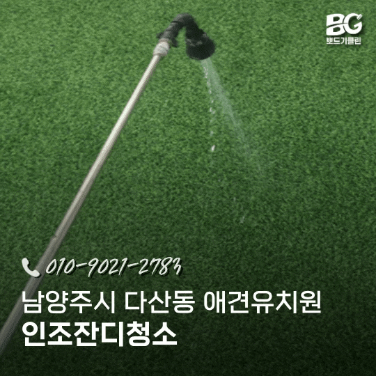 애견유치원 인조잔디청소 강아지 소변냄새는 왜 쉽게 사라지지 않을까요?