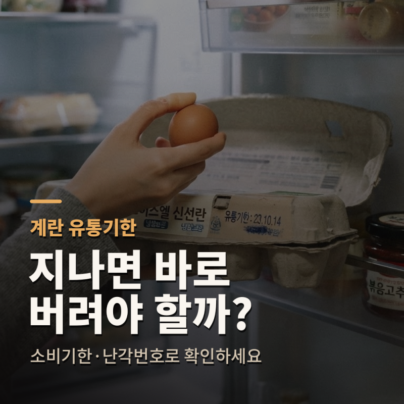 계란 유통기한 지나면 버려야 할까? 소비기한·난각번호 확인법