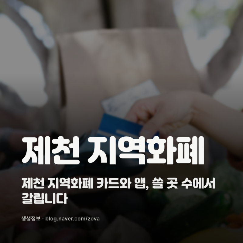제천 지역화폐 카드와 앱, 쓸 곳 수에서 갈립니다