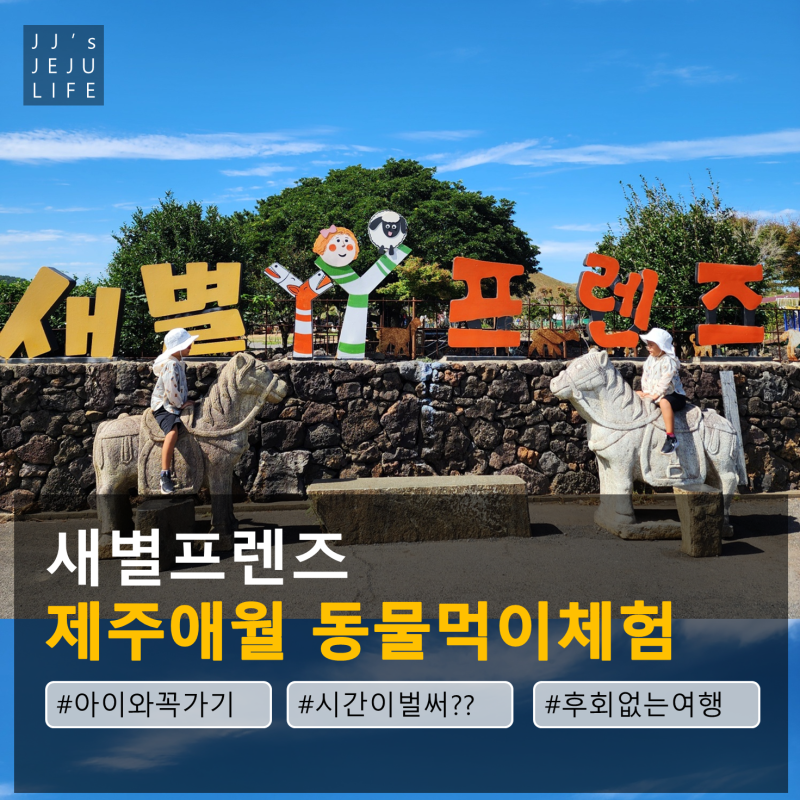 제주 애월 가볼만한곳 새별프렌즈 동물 먹이주기 소요시간 꿀팁