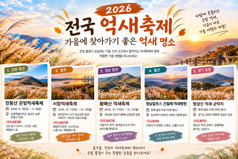 2026 전국 억새축제, 가을에 찾아가기 좋은 억새 명소!!