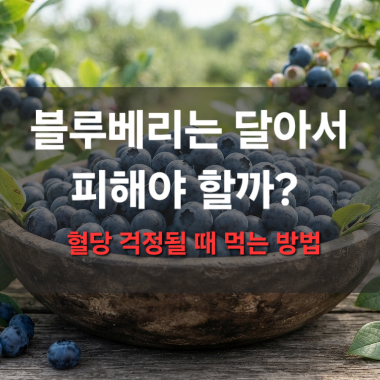 혈당 관리 중 블루베리 먹어도 될까? 생과일과 주스의 차이블루베리는 달아서 피해야 할까?