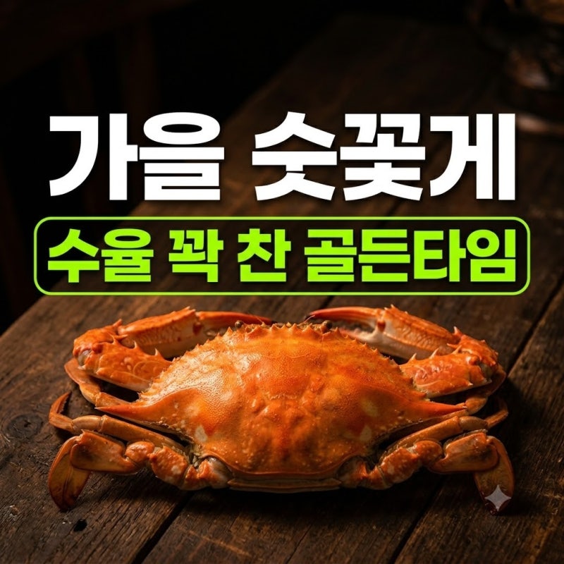 가을 제철 꽃게 특징 및 고르는법 산지직송 후기 추천 (+가격 할인)