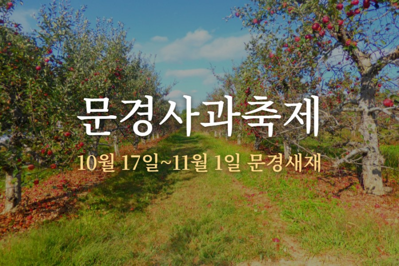 문경사과축제｜10월 17일~11월 1일 문경새재, 감홍사과 장보기와 새재 걷기